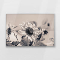 PS-100W070