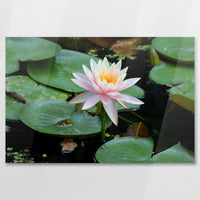 AC-090W060
