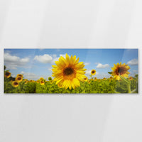 AC-120P040