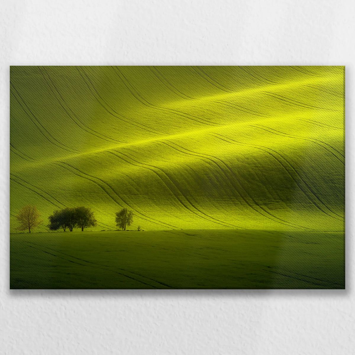 LW-075W050
