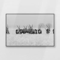 PB-120W080