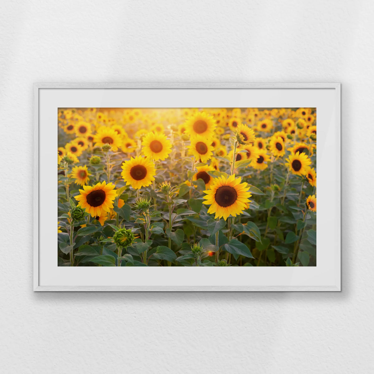 PWP100W070