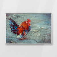 PS-093W062