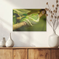 AL-045W030