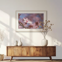 PNP093W062