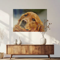 PO-090W060