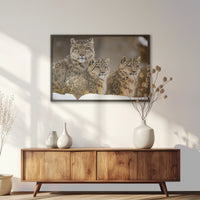 LWB100W070