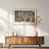 PSP093W062