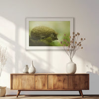 PSP120W080