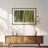PKP093W062