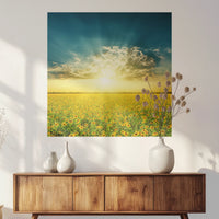 PO-070W070