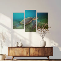 AL-120T080
