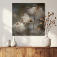 AL-050W050