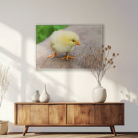PS-100W070