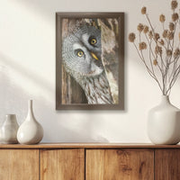 LWN020W030