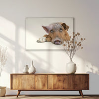 PS-100W070