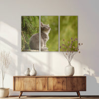 LW-120R080
