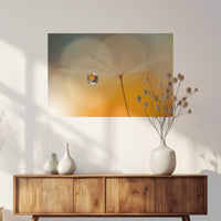 PO-075W050