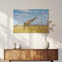 AC-075W050