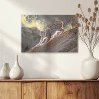 AL-045W030
