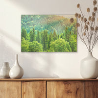 AL-030W020
