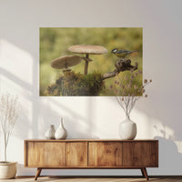 PO-120W080