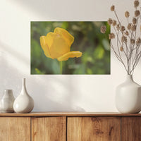 PO-045W030