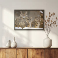LWB060W040