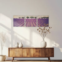LW-210S070