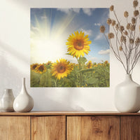 PO-040W040