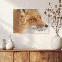AL-030W020