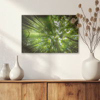 AC-045W030