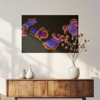 PO-075W050