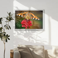 PW-060W040
