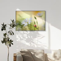 PB-120W080