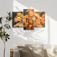 LW-090T060