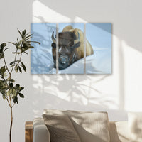 AC-060R040