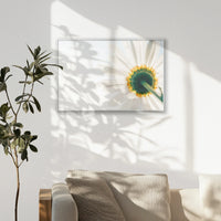 PS-093W062