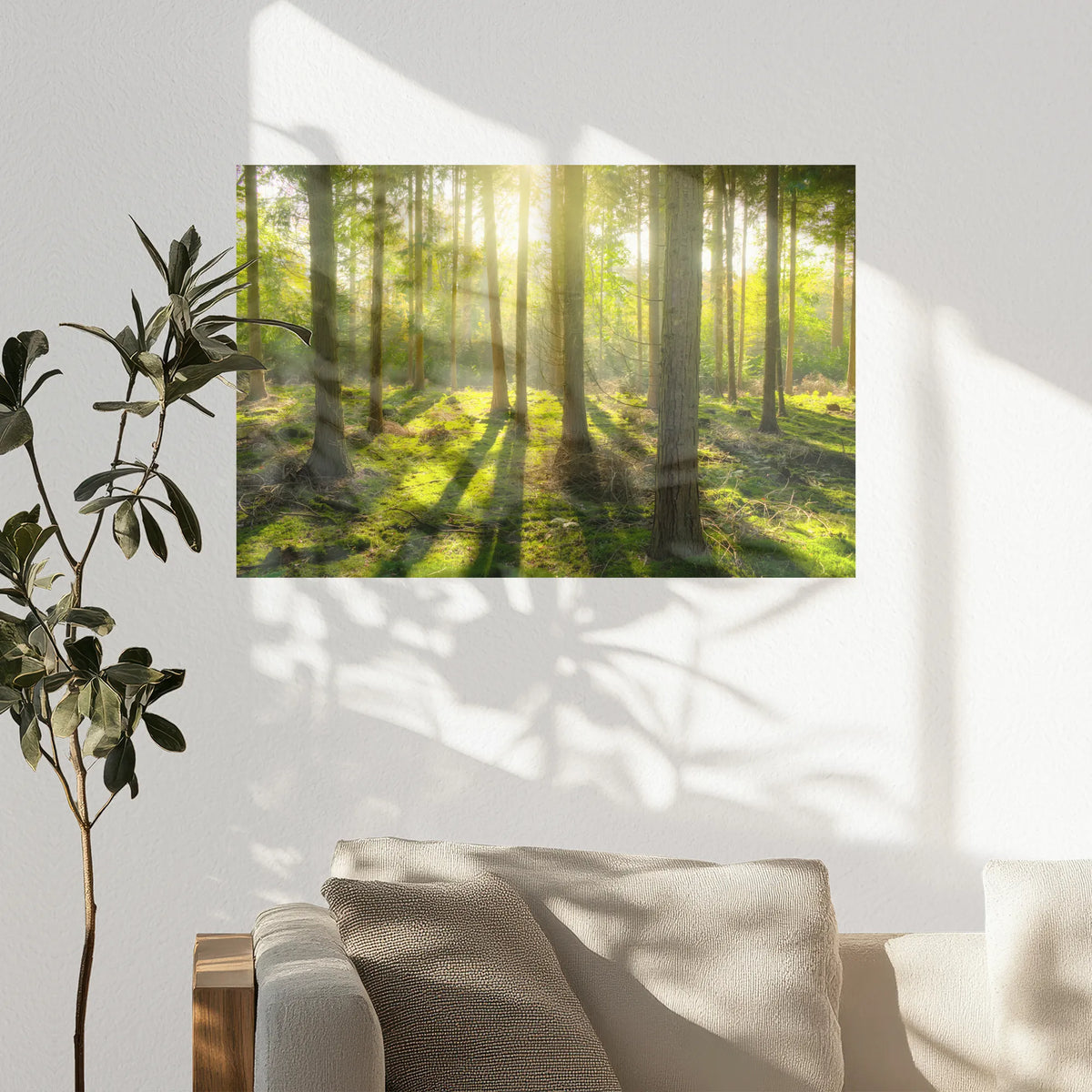 PO-075W050