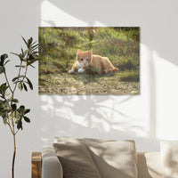 AL-075W050