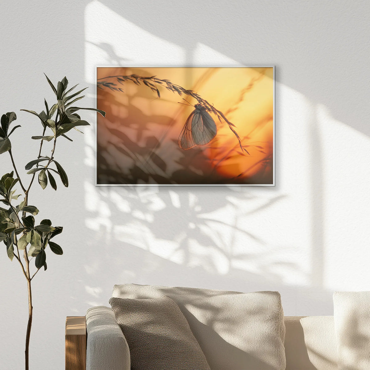 PS-093W062