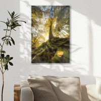 LW-020W030