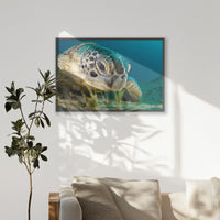 PK-100W070