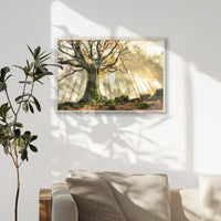 PN-093W062