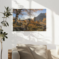 PO-030W020