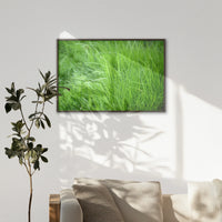 LWN120W080