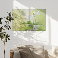 AL-075W050