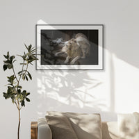 PBP120W080