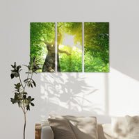 AC-150R100