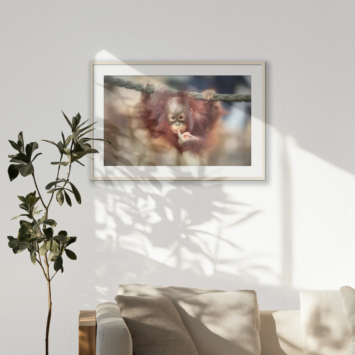 PNP100W070